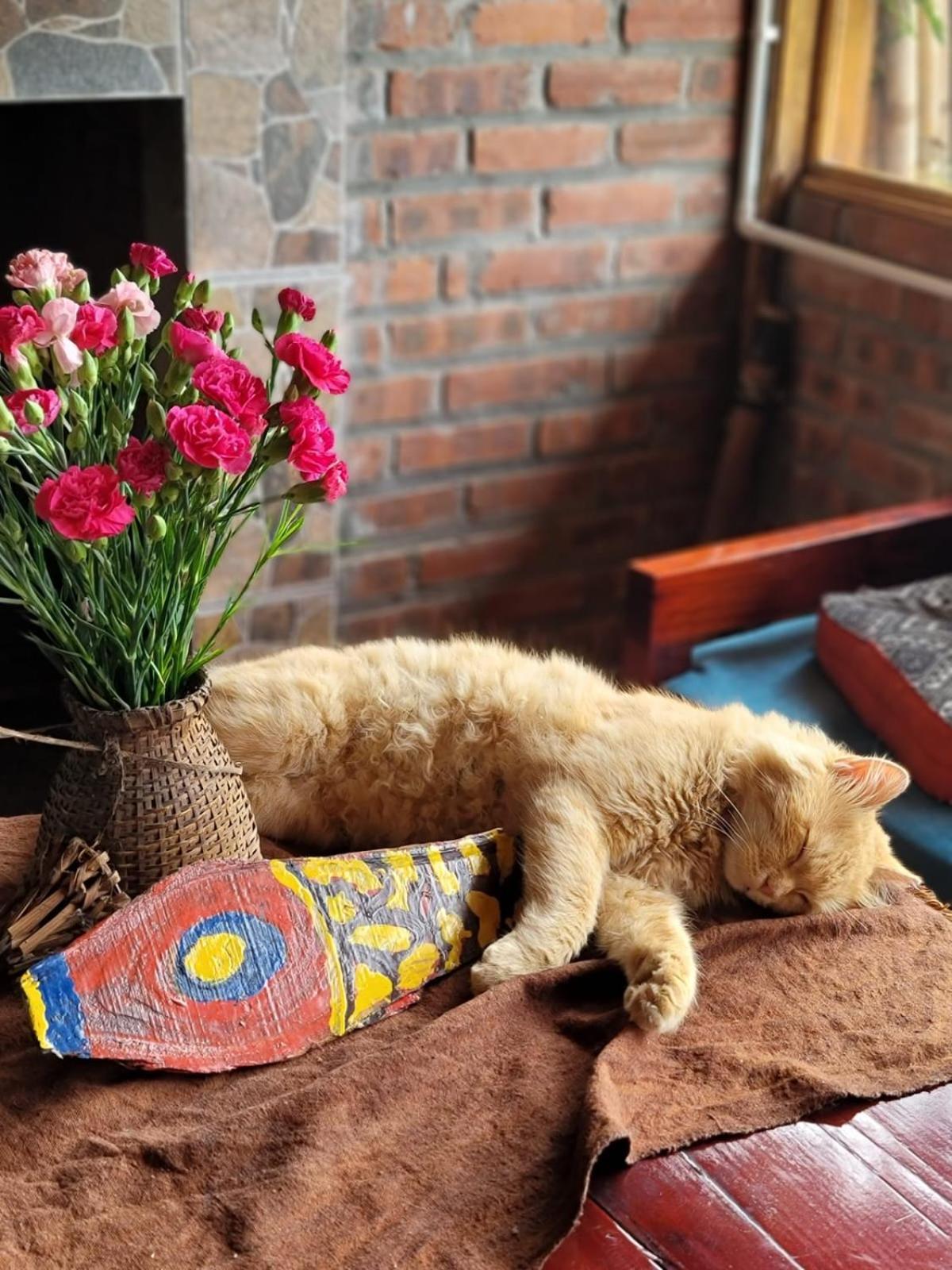 Apartmán Sapa'S Soul Exteriér fotografie